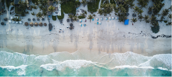 Beachfront with palms and sunbeds